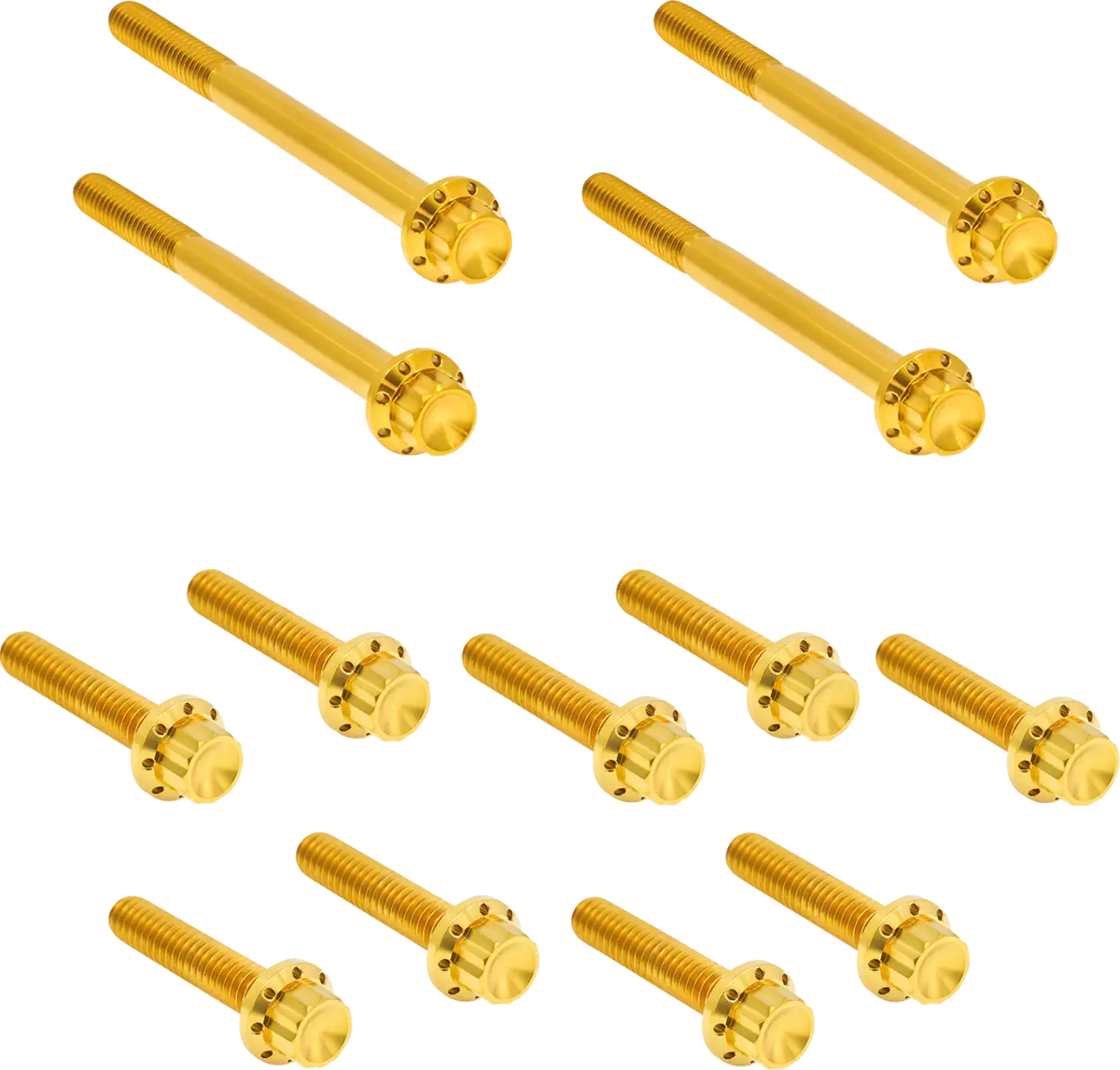 Arlen Ness Outer Primary Cover Titanium 12-Point Bolt Kit Monteringssats fordonsanpassade - PE24011730 bild 1 PMIMAGE:490D6D951EAC3C838D8D
