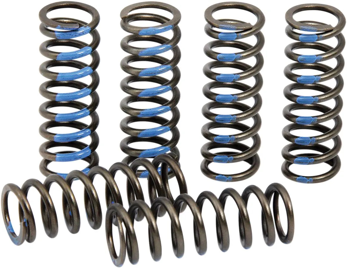 PRO CIRCUIT Kopplingsfjäderset YZ250F - PE11313380 bild 1 PMIMAGE:1C03335A7FA9E0F4B1C0
