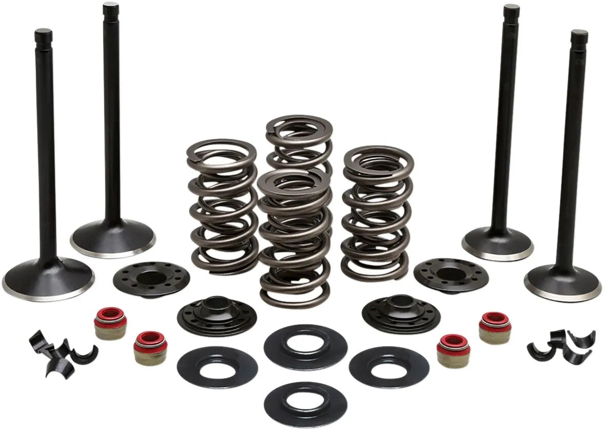 Kibblewhite Engine Valve Kit Ventiler & delar - PE09263212 bild 1 PMIMAGE:AA11DEBC5E8E4E4FEB10