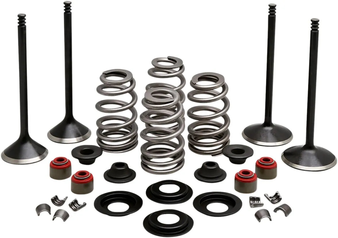 Kibblewhite Engine Valve Kit Ventiler & delar - PE09263220 bild 1 PMIMAGE:8B58B5A49296F1E6DBFB