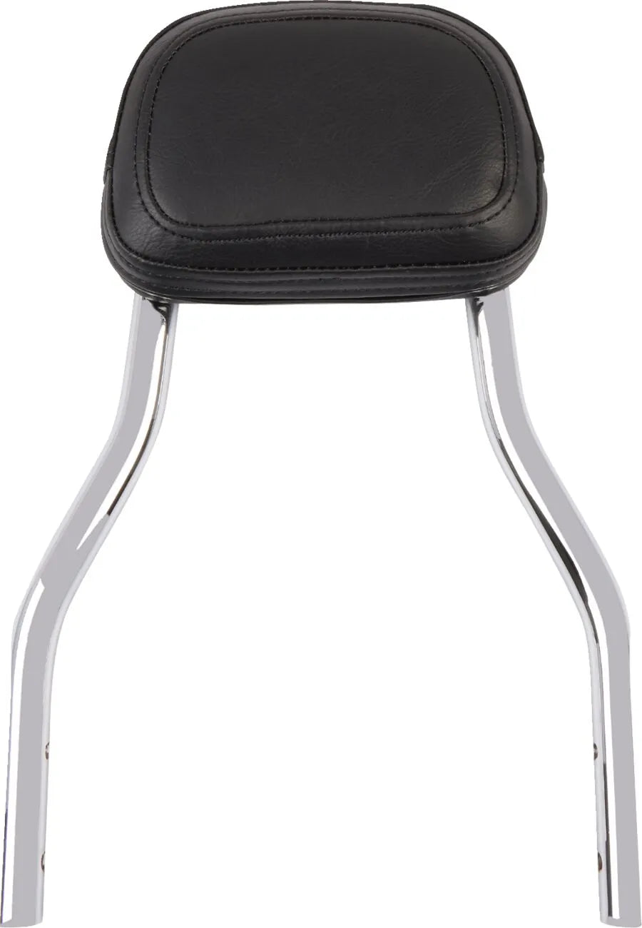 Cobra Detachable Backrest Kit Sissybars - PE15010601 bild 1 PMIMAGE:438FE245AA7CA86D6EB0