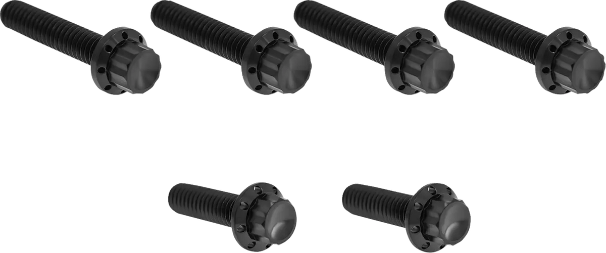 Arlen Ness Transmission Side Cover Titanium 12-Point Bolt Kit Monteringssats fordonsanpassade - PE24011813 bild 1 PMIMAGE:DA426C7DFECC0FC16D2F