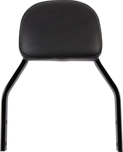 Cobra Detachable Backrest Kit Sissybars - PE15010570 bild 1 PMIMAGE:232CFDFFA5D0F0967025