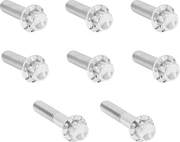 Arlen Ness Transmission Trap Door Titanium 12-Point Bolt Kit Monteringssats fordonsanpassade - PE24011821 bild 1 PMIMAGE:5FC16B35CDEEDC306175