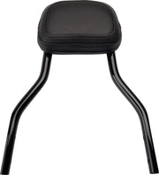 Cobra Detachable Backrest Kit Sissybars - PE15010612 bild 1 PMIMAGE:D0E4C0499DD861C31D5F