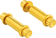Arlen Ness Foot Peg Titanium 12-Point Bolt Kit Monteringssats fordonsanpassade - PE24011777 bild 1 PMIMAGE:1835B26C852F5F460862