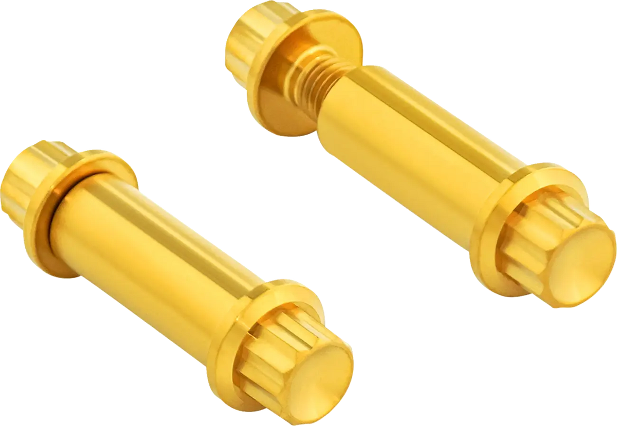 Arlen Ness Foot Peg Titanium 12-Point Bolt Kit Monteringssats fordonsanpassade - PE24011777 bild 1 PMIMAGE:1835B26C852F5F460862