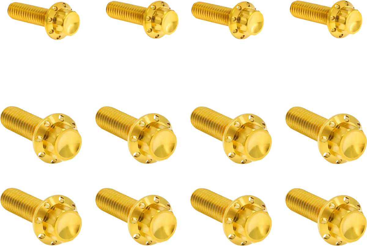 Arlen Ness Transmission Side Cover & Trap Door Titanium 12-Point Bolt Kit Monteringssats fordonsanpassade - PE24011754 bild 1 PMIMAGE:77D23E5428246D7B084D