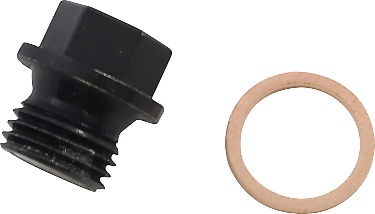 QUAD LOGIC Motoravtappningsplugg med Magnet - PE09200227 bild 1 PMIMAGE:ABB1DE0FD1C0D8ADD462