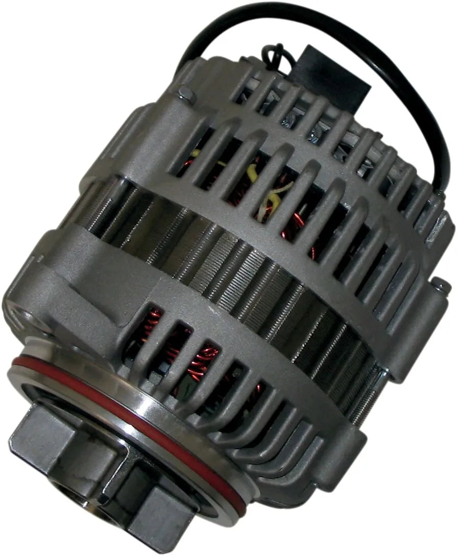 RICK'S MOTORSPORT ELECTRIC Hot Shot Generator GL1500 88-00 - PE21120390 bild 1 PMIMAGE:8A566FE40D1A9BB6F1C5