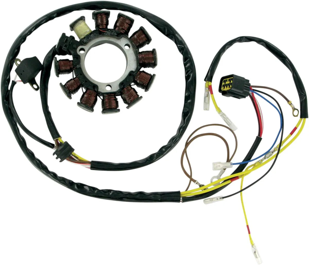 RICK'S MOTORSPORT ELECTRIC Stator Polaris Late - PE21120341 bild 1 PMIMAGE:BB3F740CCBA5CFA09BFF