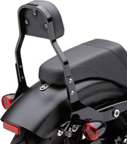 Cobra Detachable Backrest Kit Sissybars - PE15010570 bild 4 PMIMAGE:770DFC5EE6BC02890E90