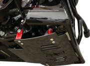 Thrashin Supply Co Forged Carbon Fiber Skid Plate Motorskydd - PE05062533 bild 8 PMIMAGE:0AD2A22CB95009D5739D