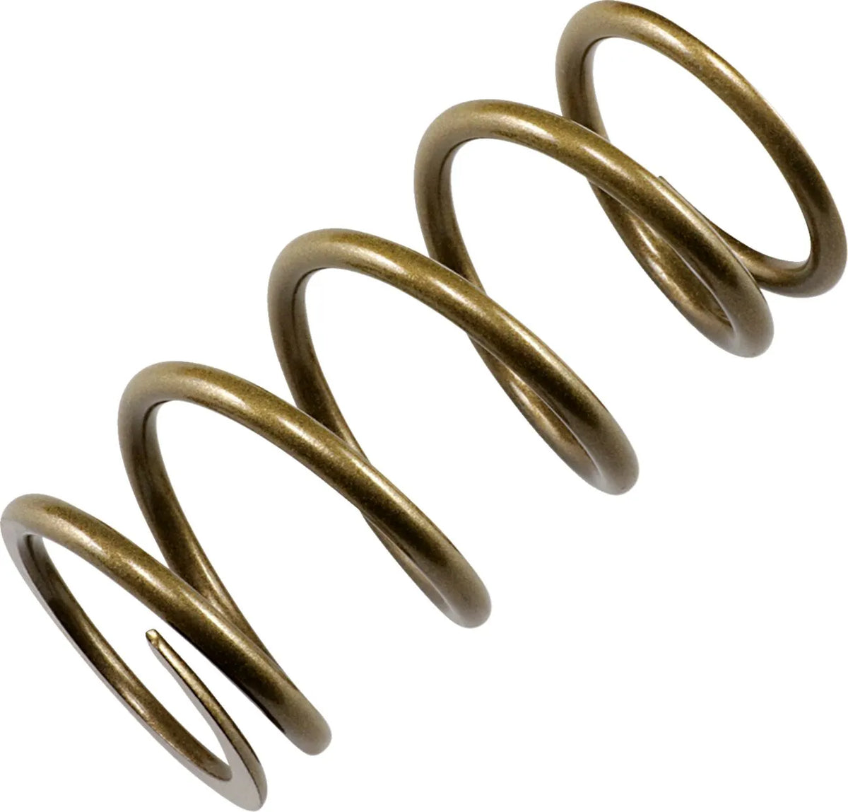 Epi Primary Clutch Spring Centrifugalkopplingar primär M - PEPS13 bild 1 PMIMAGE:3ACCAAD3FA320B243E8E