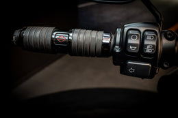 Harley-Davidson Low Rider S 2020 UHJ77S – bild 19