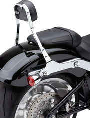 Cobra Detachable Backrest Kit Sissybars - PE15010599 bild 1 PMIMAGE:8FA3DE438194371DFE75