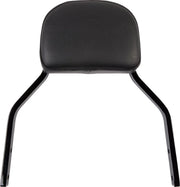 Cobra Detachable Backrest Kit Sissybars - PE15010572 bild 1 PMIMAGE:893C51B70A2AC18A701E
