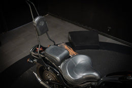 Harley-Davidson Cross Bones (FLSTSB) HUF634 – bild 21