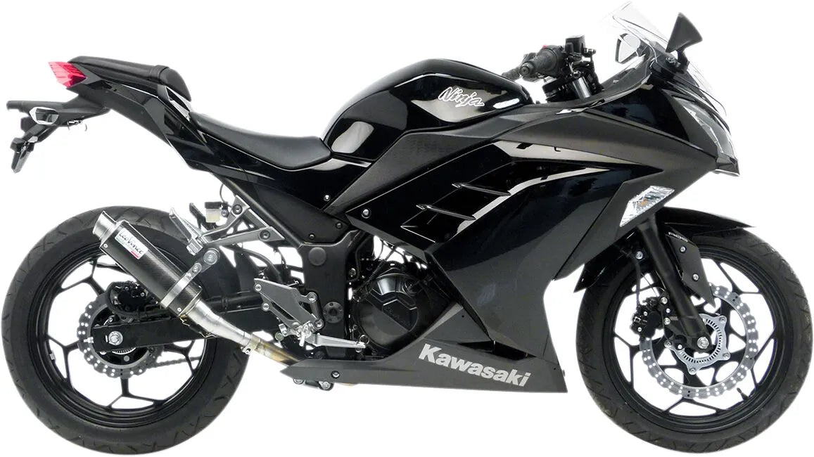 LEOVINCE GP Corsa Slip-On Ljuddämpare för Ninja300R - PE18102268 bild 1 PMIMAGE:30CEF202437EC4424469