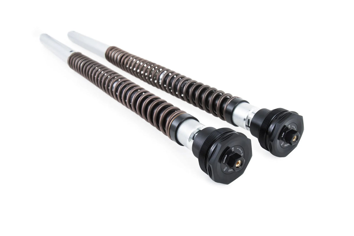 OHLINS Cartridge Kit NIX30 för Ducati Panigale V2/STREETF. V2 TTX25S FKR 134 - PE04130193 bild 1 PMIMAGE:8FD75A79548A88DC91EE