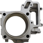 CYLINDER WORKS Standard Motorcylinder TERYX Bak - PE09311025 bild 2 PMIMAGE:6FEEF2EB54D72910F460