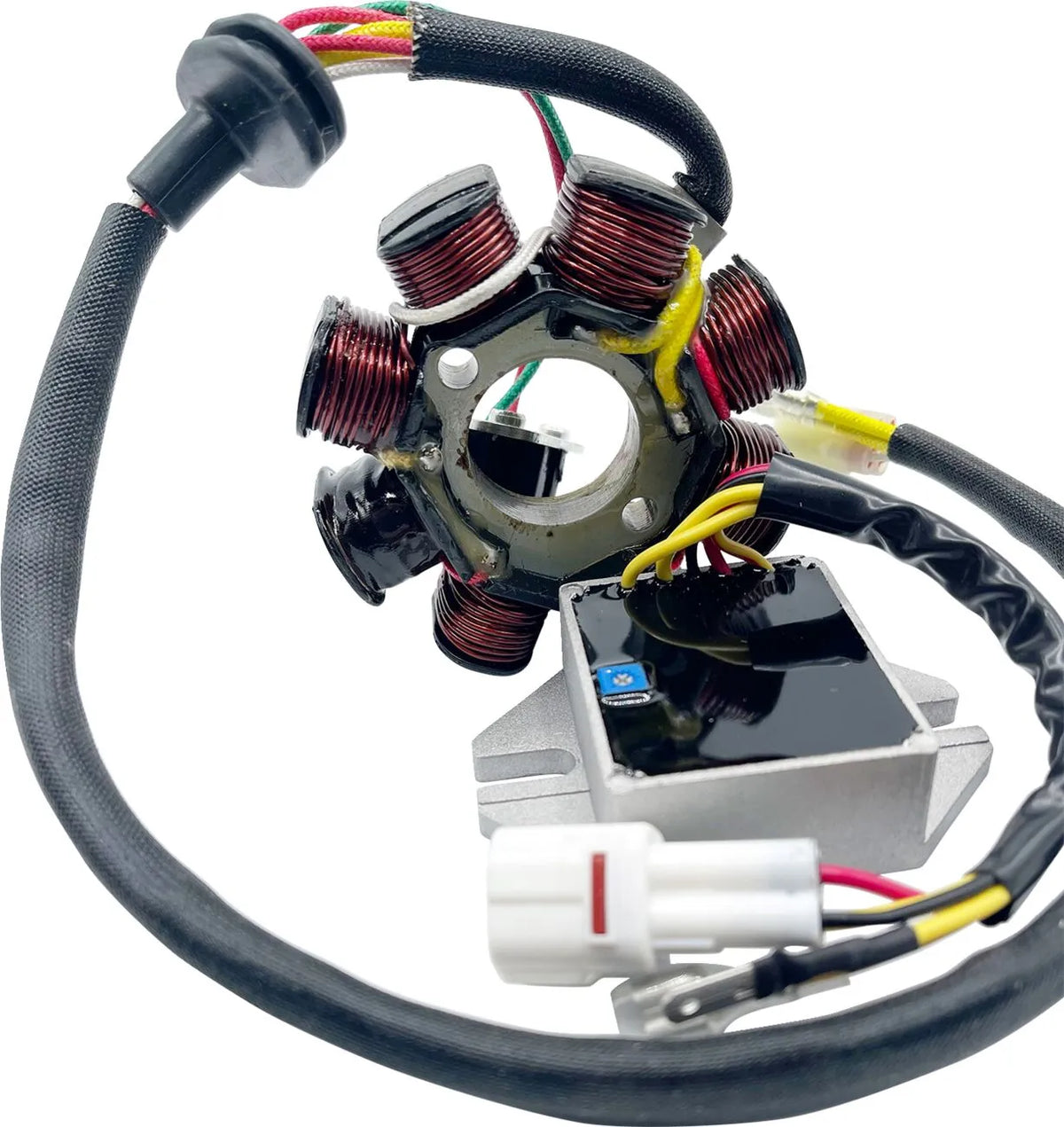 RICK'S MOTORSPORT ELECTRIC Lithium-Ion Kompatibelt Laddningskit - PE21121734 bild 1 PMIMAGE:7AF48D51D8E90A8AA821