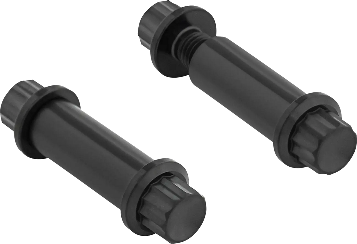 Arlen Ness Foot Peg Titanium 12-Point Bolt Kit Monteringssats fordonsanpassade - PE24011776 bild 1 PMIMAGE:8F048A0E4E8CA4DCDF76