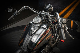 Harley-Davidson Cross Bones (FLSTSB) HUF634 – bild 20