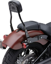 Cobra Detachable Backrest Kit Sissybars - PE15010593 bild 3 PMIMAGE:DB6226868926A3D575F0