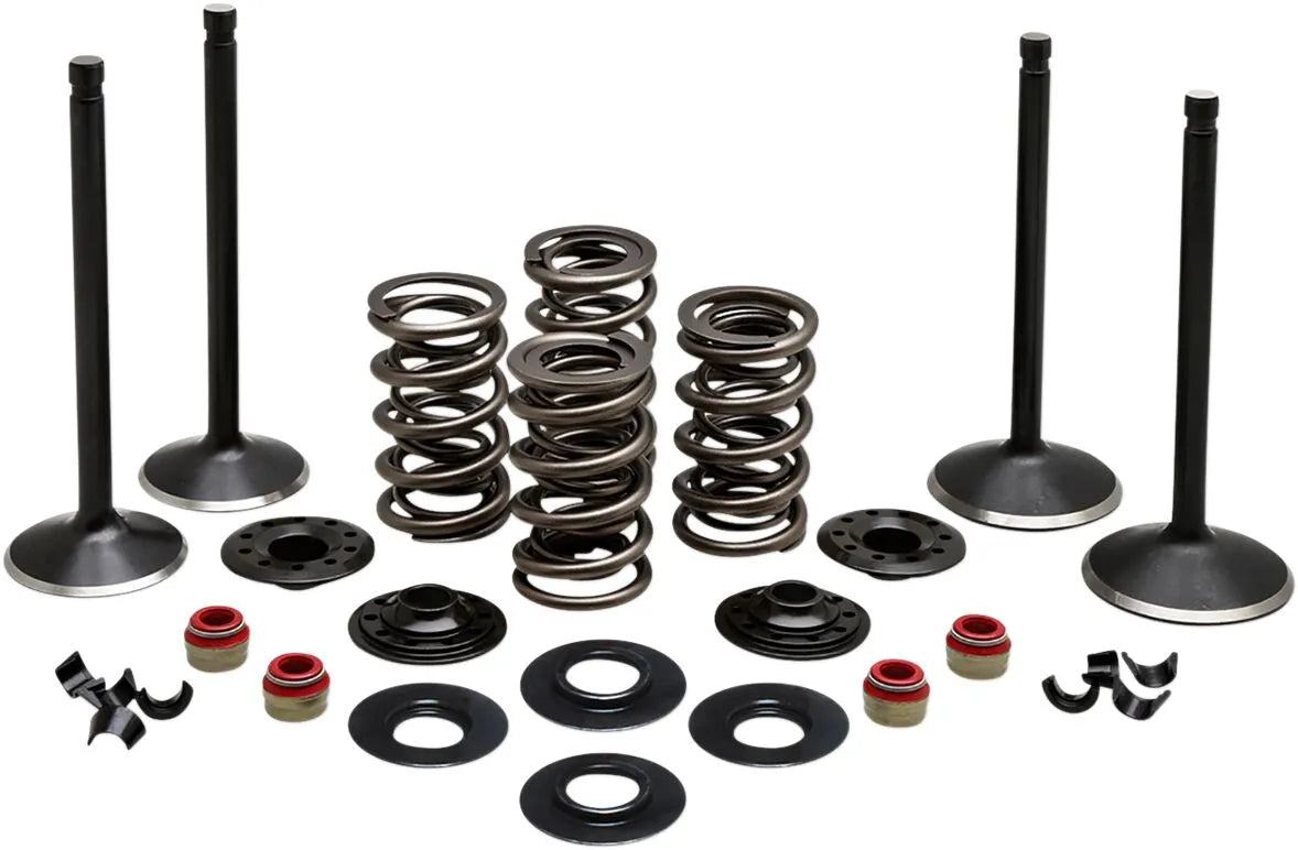 Kibblewhite Engine Valve Kit Ventiler & delar - PE09263210 bild 1 PMIMAGE:4D049B16C1E199607453