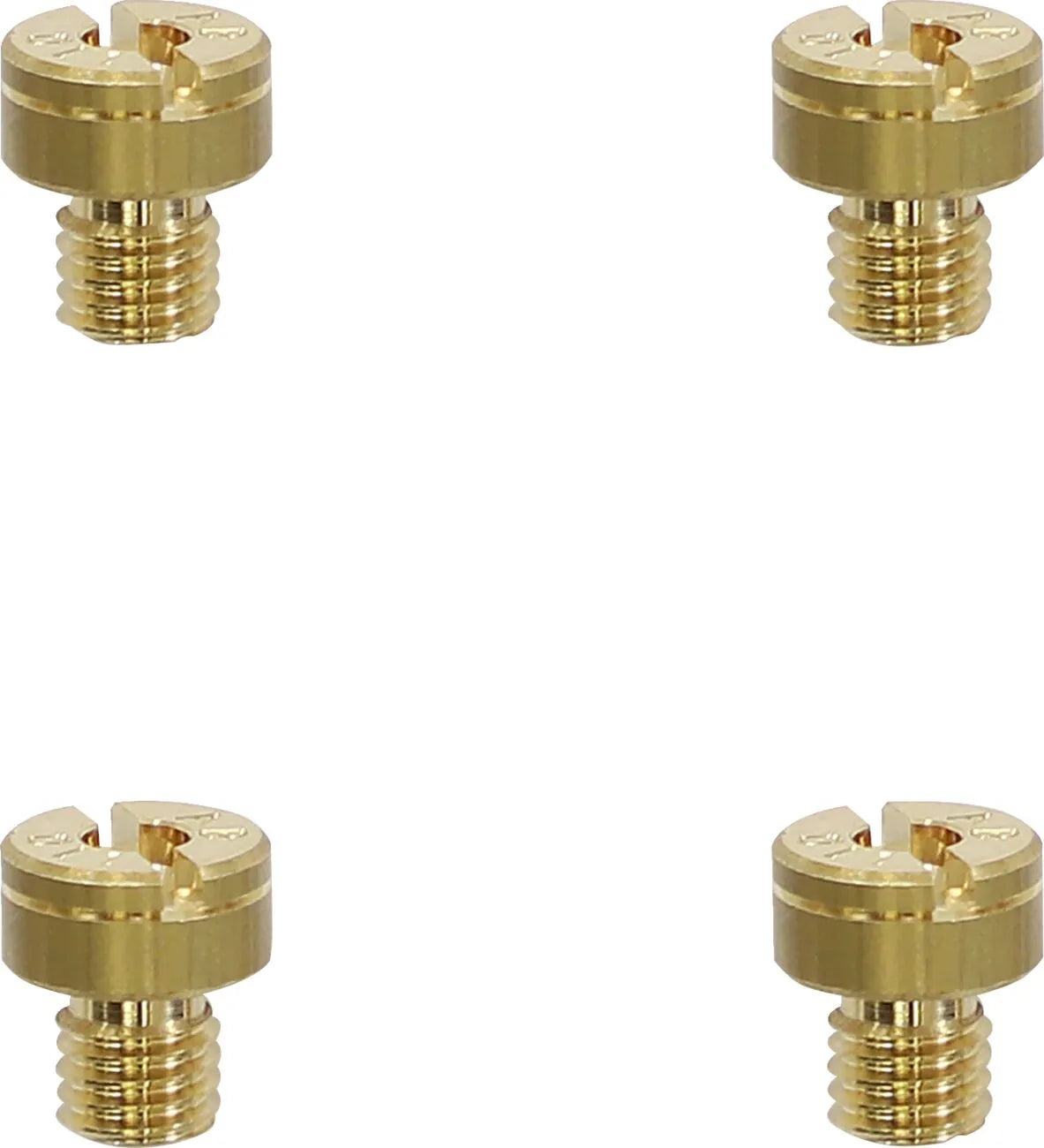 Ebc A-Bax Precision Mikuni-Style Slot Head (SJ Prefix) Main Jets Huvudmunstycken - PE10060025 bild 1 PMIMAGE:B8792C4EE778DD11BC34