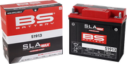 BS BATTERY SLA MAX AGM Underhållsfritt Batteri - PE21130616 bild 3 PMIMAGE:D65F8A8BF378B3FF29B8