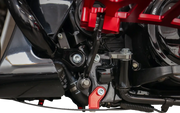 Thrashin Supply Co Forged Carbon Fiber Skid Plate Motorskydd - PE05062533 bild 10 PMIMAGE:CD8A08EAA7D012147CB1